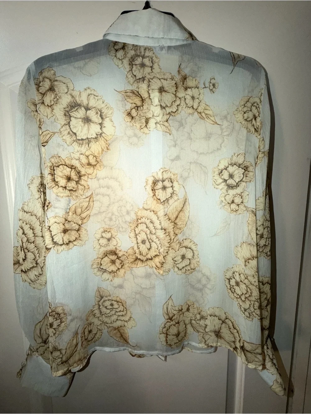 Zara Floral Sheer Button-Up Blouse in Beig